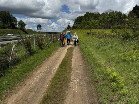 neskončne poti po Caminu